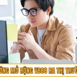 The "thaibaovb88" user's logo