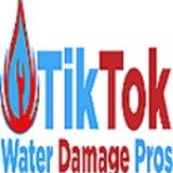Tik Tok Water Damage Pros