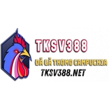 The "Sv388" user's logo