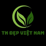 The "TN ĐẸP VIỆT NAM" user's logo