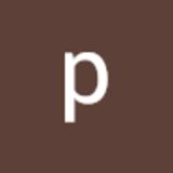 The "palaniappan lppkn" user's logo