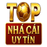 The "Topnhacaiuytin07 net" user's logo