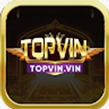 The "Top Vin" user's logo