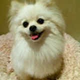 The "Tracy Long" user's logo