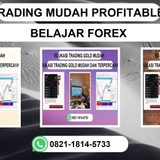 The "TRADING MUDAH PROFITABLE, 0821-1814-5733 TRADING MUDAH BELAJAR TRADING GOLD " user's logo