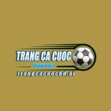 The "Trang Cá Cược Bóng Đá AI" user's logo