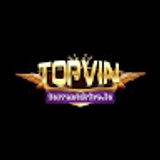 The "TOPVIN" user's logo