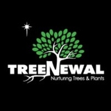 location logo