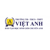 The "Trường Quốc Tế Việt Anh" user's logo