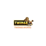 The "TWIN68" user's logo