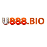 The "u8881523521022" user's logo