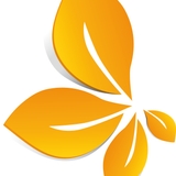 The "Jelle Posthumus" user's logo