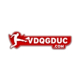 The "VĐQG Đức" user's logo