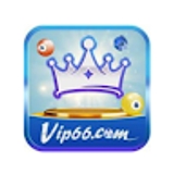 The "VIP66" user's logo