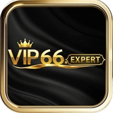 The "VIP66" user's logo