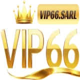 The "Vip66 sarl" user's logo