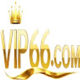 The "Vip66 trade" user's logo