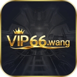 The "vip66wang" user's logo