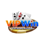 The "Org vipwin" user's logo