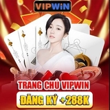 The "vipwin" user's logo