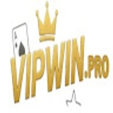 The "Vipwin pro" user's logo