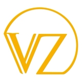 The "Vizstara Professional" user's logo