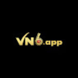 The "Trang Chủ VN6: Khám Phá Sân Chơi Đẳng Cấp Hàng Đầu" user's logo