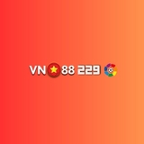 The "vVN88 229" user's logo