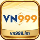 The "vn999im" user's logo