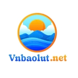 The "vnbaolut" user's logo