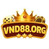 The "vnd88org" user's logo