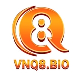 The "vnq8casino" user's logo