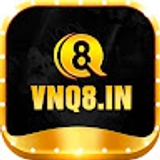 The "VNQ8" user's logo