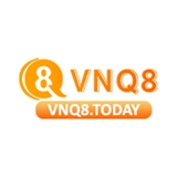 The "vnq8today" user's logo