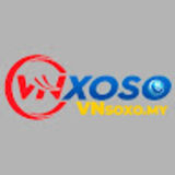 The "VNSOXO - Giải Trí Trực Tuyến Hàng Đầu Với Cá Cược Thể Thao và Casino Đỉnh Cao" user's logo