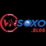The "VNSOXO - nhà cái cá cược online hàng đầu châu Á" user's logo
