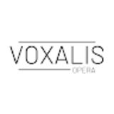 The "Voxalis Team" user's logo