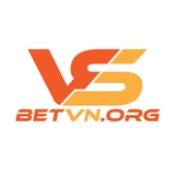 The "vsbetvnorg" user's logo