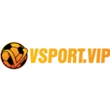 The "Vsport" user's logo