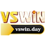 The "Vswin" user's logo