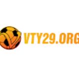 The "Vty29 Org" user's logo