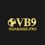 The "Vuabai9 VB9" user's logo