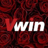 The "Vwin " user's logo