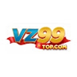 The "Nhà cái VZ9" user's logo