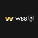 The "W88 Systems" user's logo