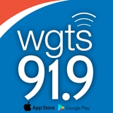 The "WGTS 91.9" user's logo