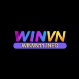 The "WINVN" user's logo