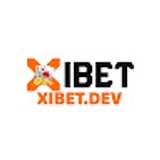The "xibet" user's logo