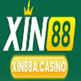 The "XIN88" user's logo