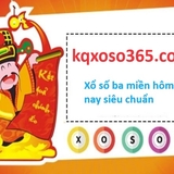 The "xs365" user's logo